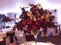 Stunning Events by Linda Abrahams 1102453 Image 3